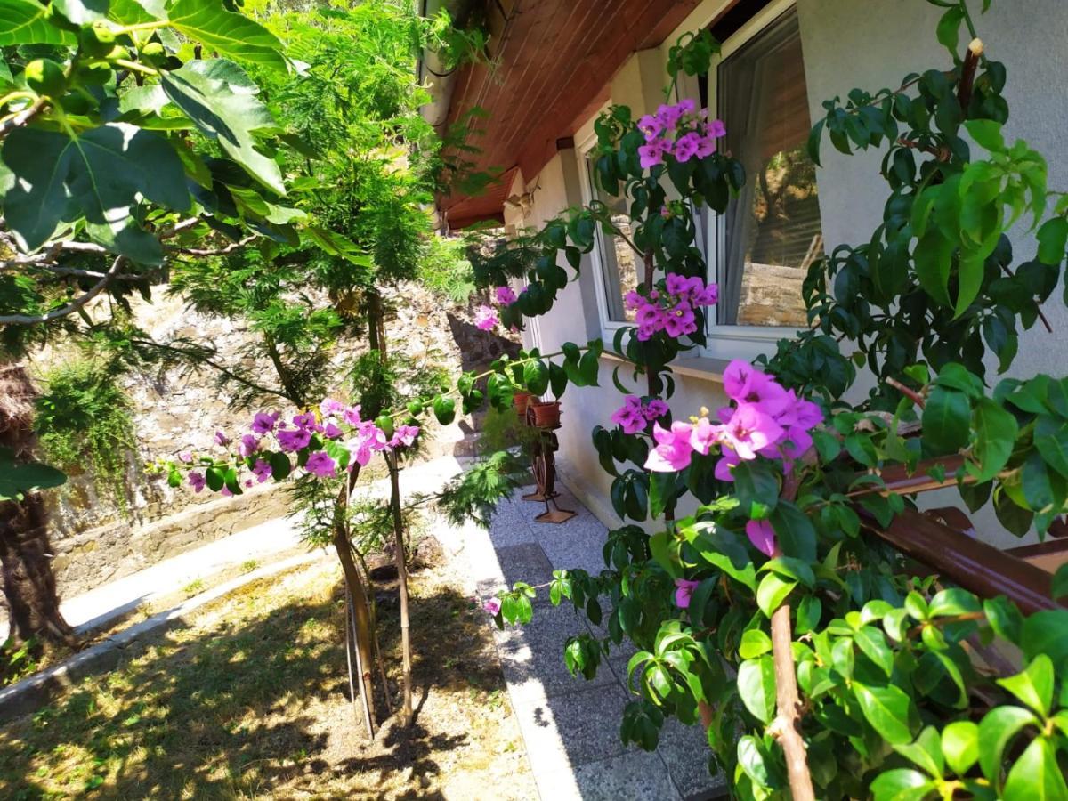 Lili House Apartment Portoroz Luaran gambar